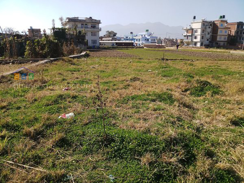 Land on Sale at Harisiddhi